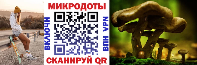 MEGA зеркало  мориарти телеграм  Галлюциногенные грибы MAGIC MUSHROOMS  Корсаков 