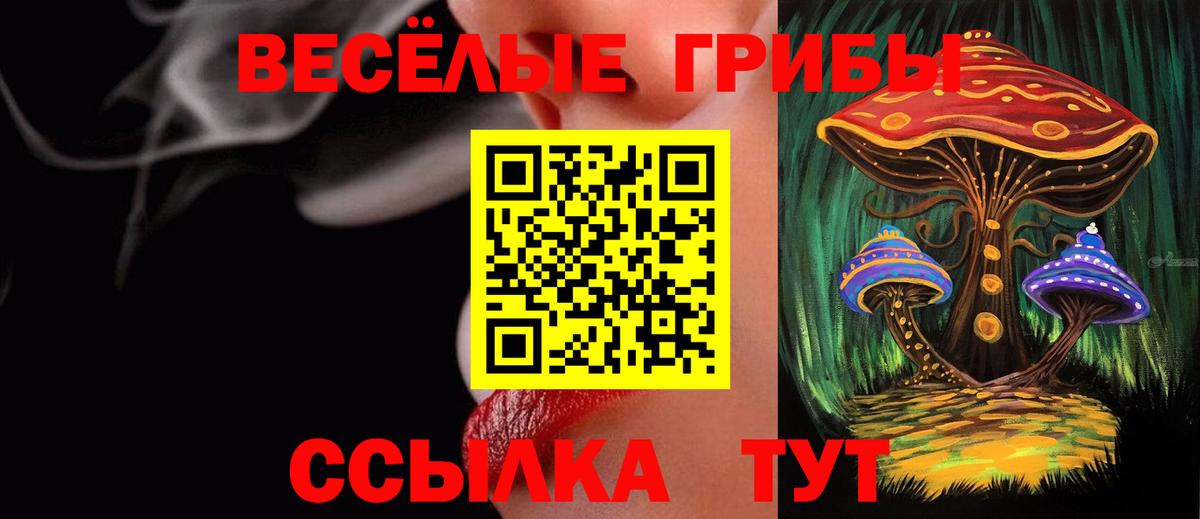 Галлюциногенные грибы Psilocybine cubensis Корсаков